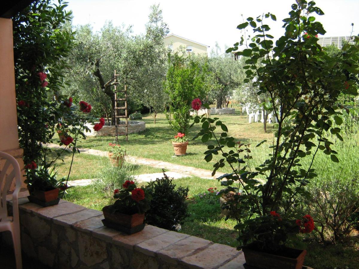 Apartmani Mirjana أوماغ المظهر الخارجي الصورة