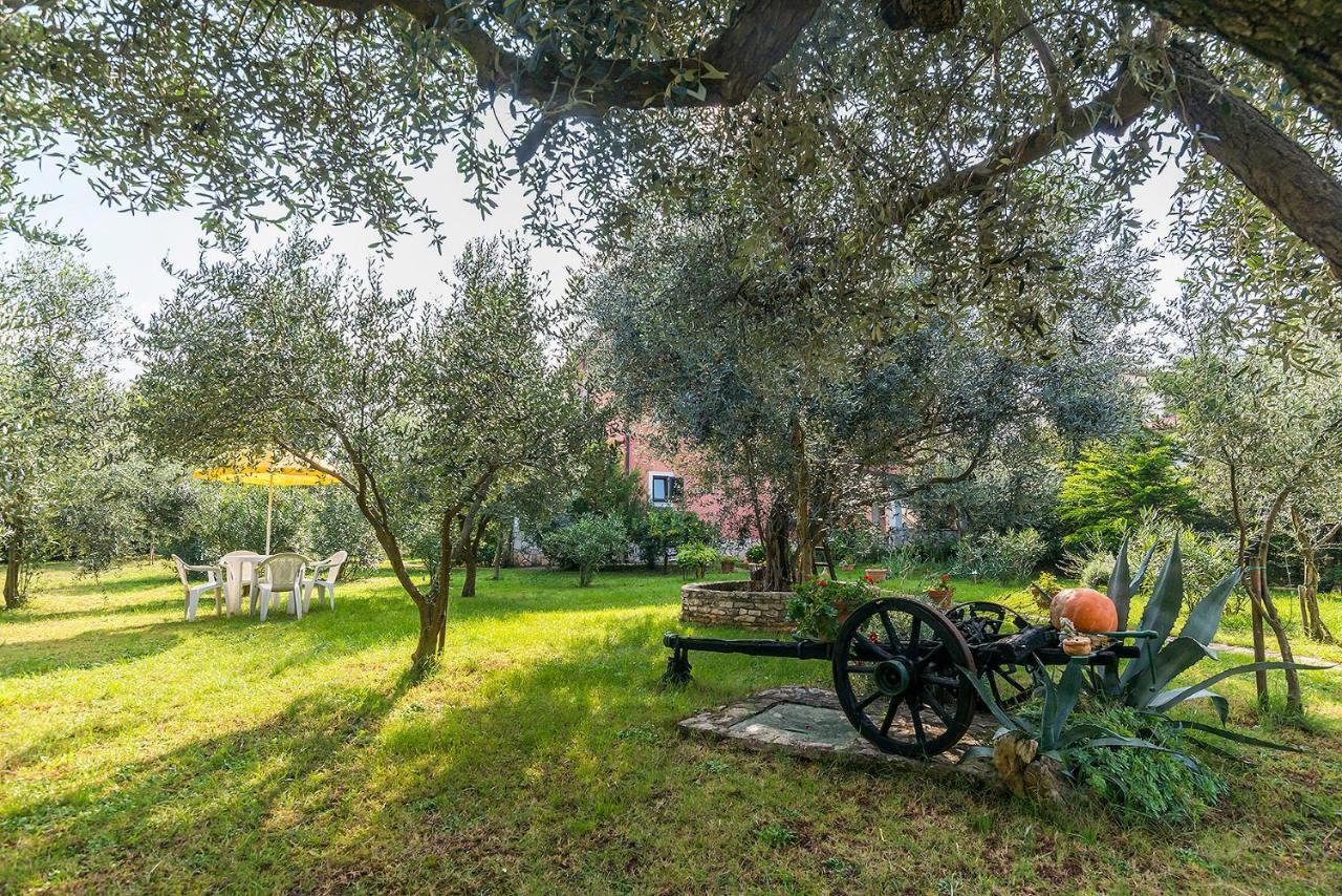 Apartmani Mirjana أوماغ المظهر الخارجي الصورة